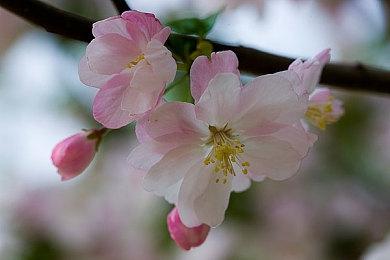 《荣耀战魂》新万圣节活动公布 4人大战蜘蛛怪